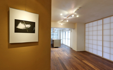 ホールからリビング