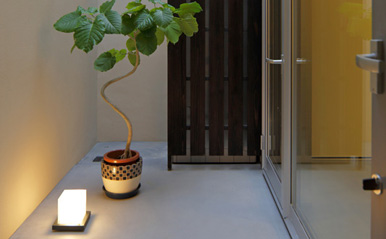 ねことひきこもる家 中庭